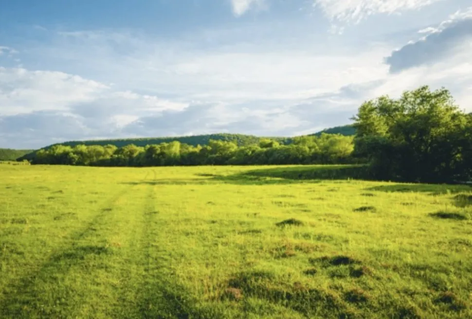 Custom yard cleanup service near you across Toccoa, GA - Tomahawk Hill