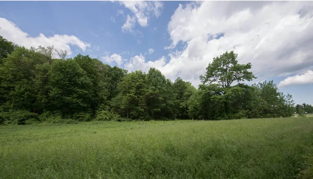 Custom lawn care service for year-round maintenance in Toccoa, GA by Tomahawk Hill