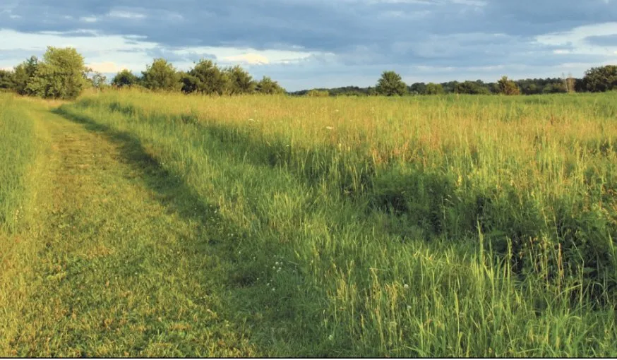 Professional residential landscaping in Toccoa, GA by Tomahawk Hill