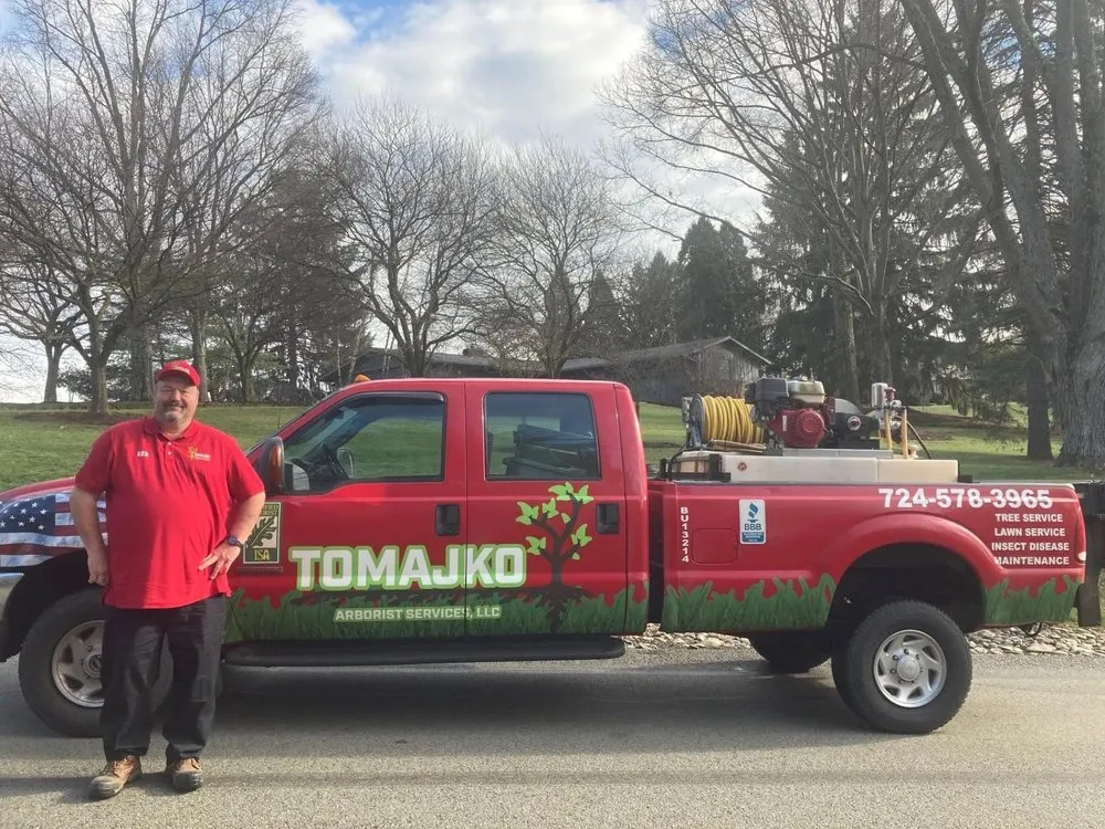 Affordable lawn care service for beautiful yards across Jeannette, PA - Tomajko Arborist Services