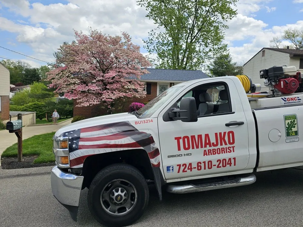 Local yard cleanup service in Jeannette, PA by Tomajko Arborist Services