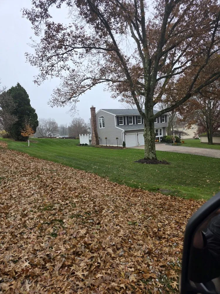 Trusted yard maintenance experts serving Jeannette, PA - Tomajko Arborist Services