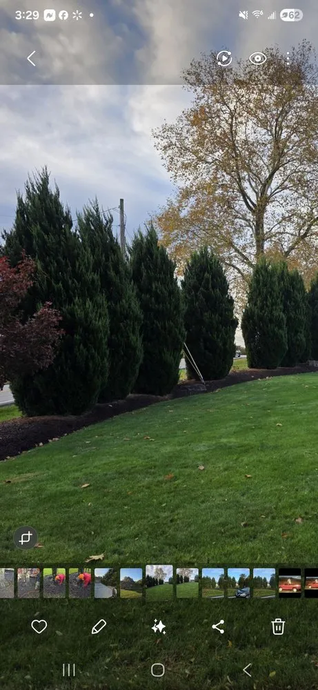 Affordable landscape installation in Jeannette, PA by Tomajko Arborist Services