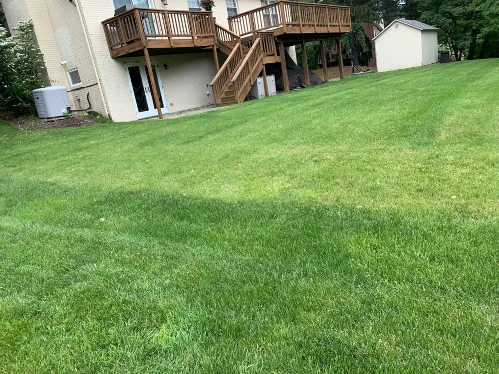 Expert yard cleanup service experts serving Jeannette, PA - Tomajko Arborist Services