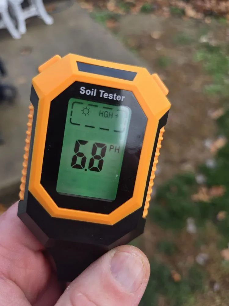 Reliable lawn care service in Jeannette, PA - Tomajko Arborist Services