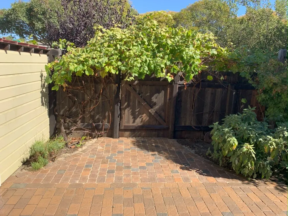 Expert lawn mowing service in Point Reyes Station, CA by Tomales Bay Landscaping