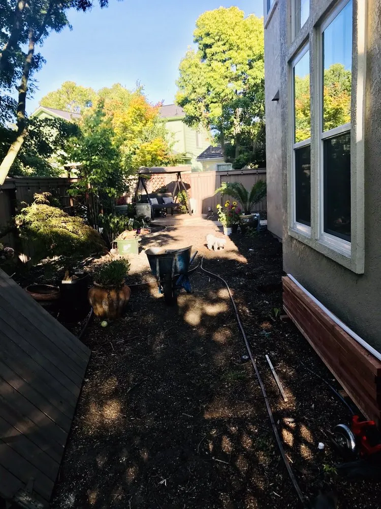 Custom lawn care service experts serving Point Reyes Station, CA - Tomales Bay Landscaping