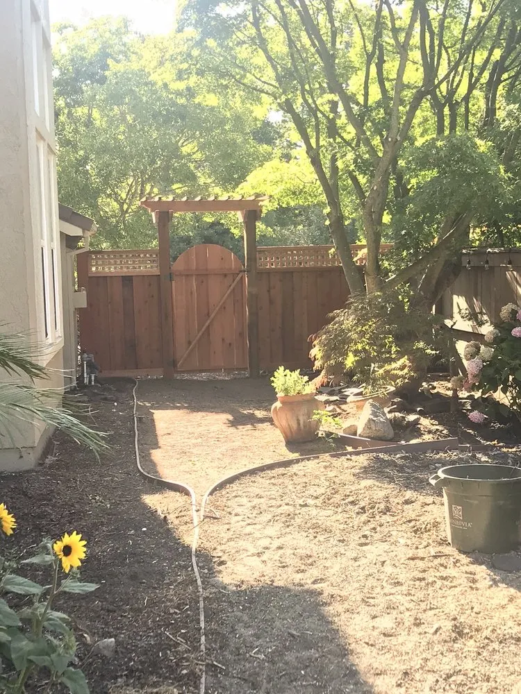 Affordable lawn care service experts serving Point Reyes Station, CA - Tomales Bay Landscaping