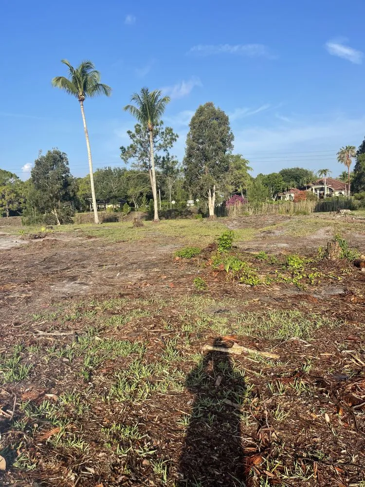 Expert yard cleanup service experts serving Loxahatchee, FL - Tomas Flores Tree Service