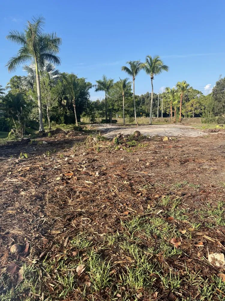 Reliable residential landscaping in Loxahatchee, FL - Tomas Flores Tree Service