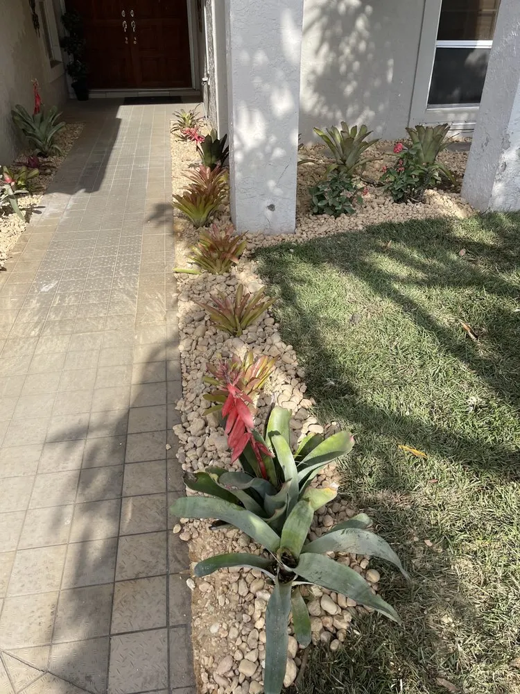 Top-rated yard cleanup service experts serving Loxahatchee, FL - Tomas Flores Tree Service