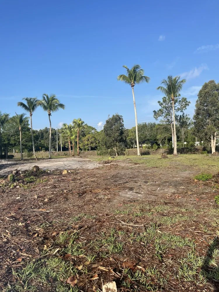 Reliable lawn care service in Loxahatchee, FL - Tomas Flores Tree Service