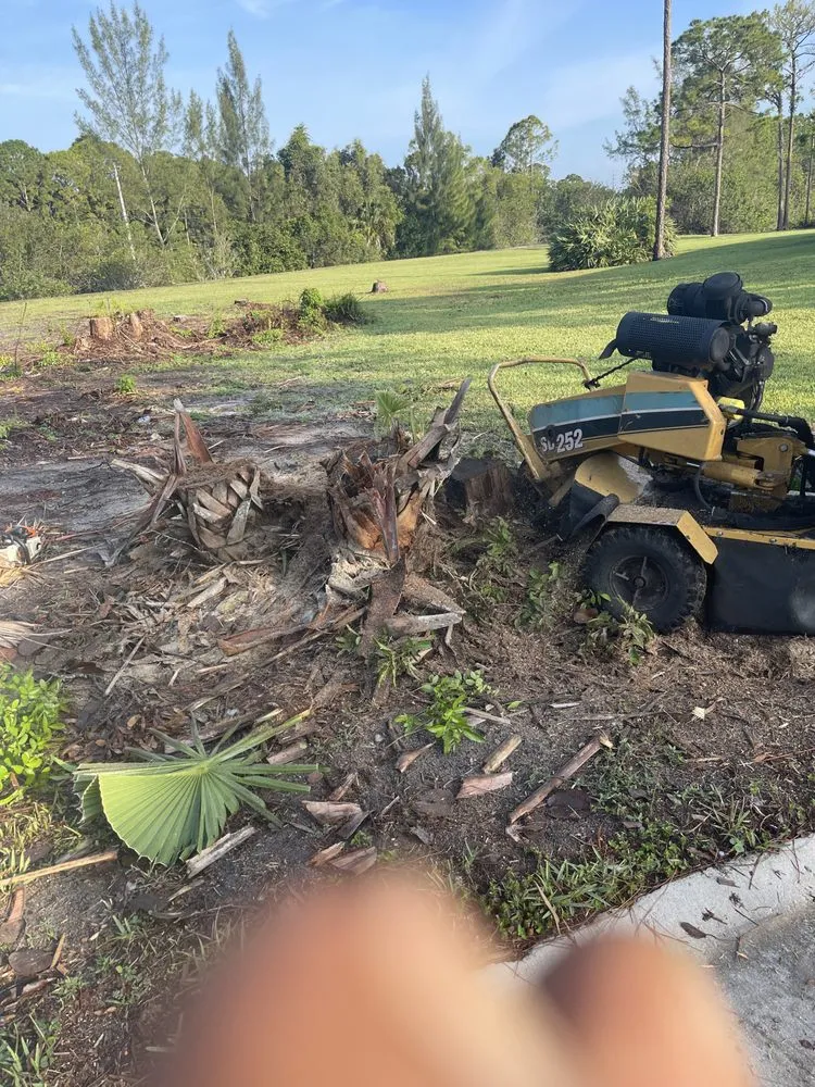 Expert lawn mowing service for outdoor upgrades in Loxahatchee, FL by Tomas Flores Tree Service