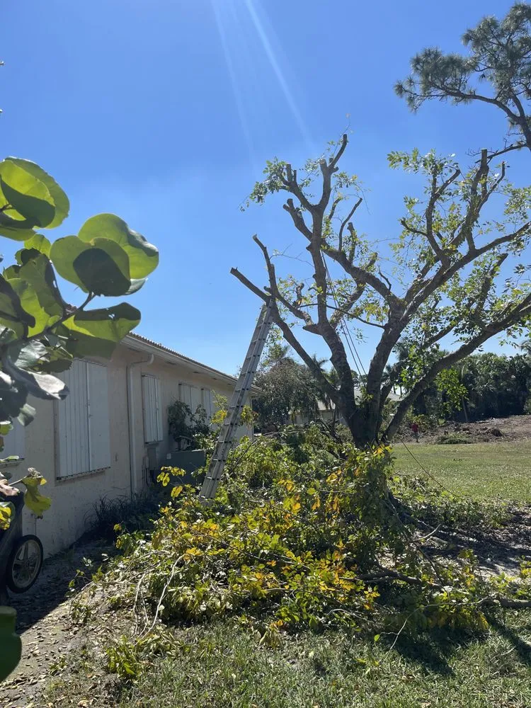 Trusted garden landscaping experts serving Loxahatchee, FL - Tomas Flores Tree Service