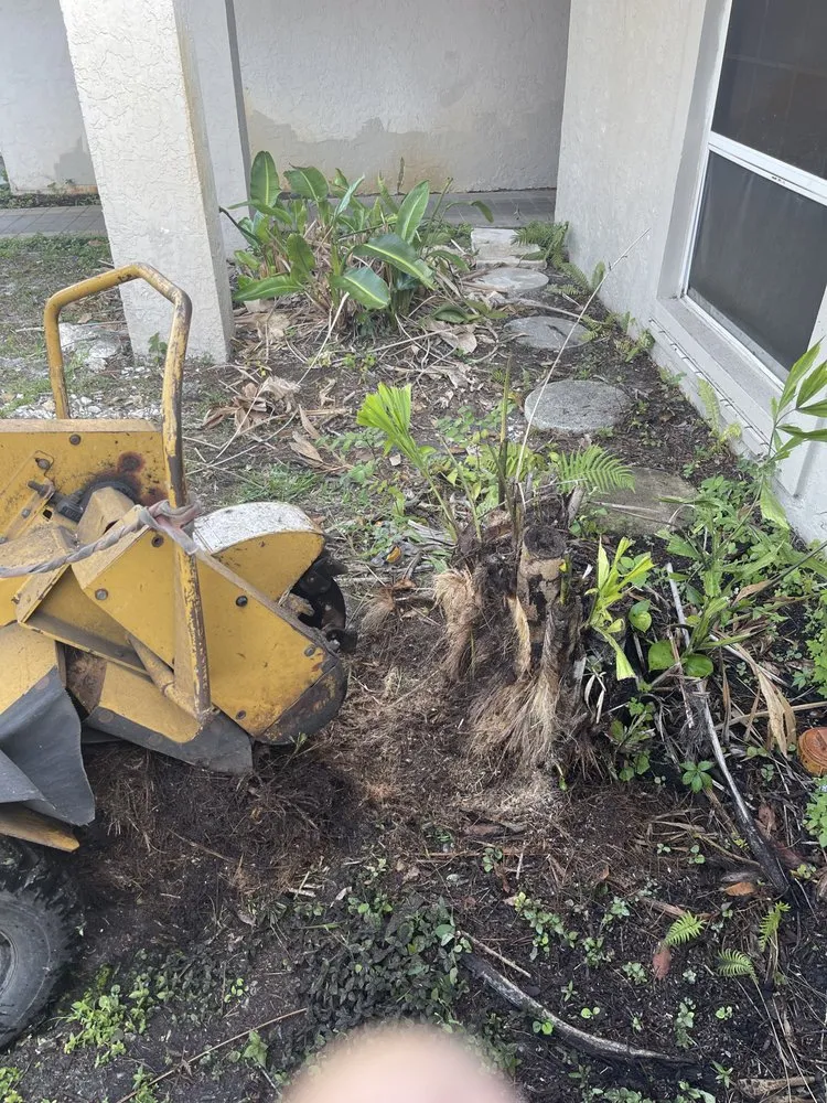 Local garden landscaping in Loxahatchee, FL by Tomas Flores Tree Service