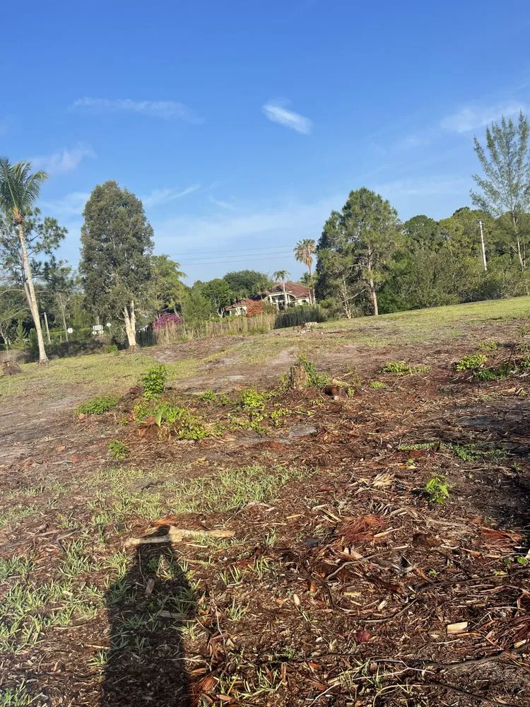 Expert garden landscaping in Loxahatchee, FL - Tomas Flores Tree Service