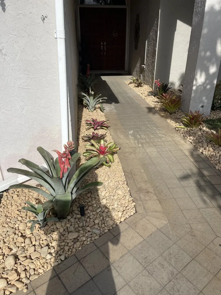 Expert lawn care service near you in Loxahatchee, FL by Tomas Flores Tree Service