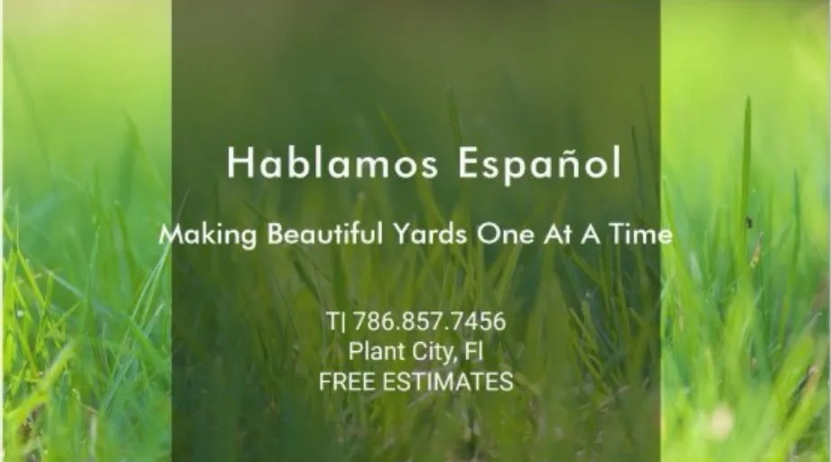 Affordable lawn care service in Plant City, FL - Tomas Ibarra Lawn Service