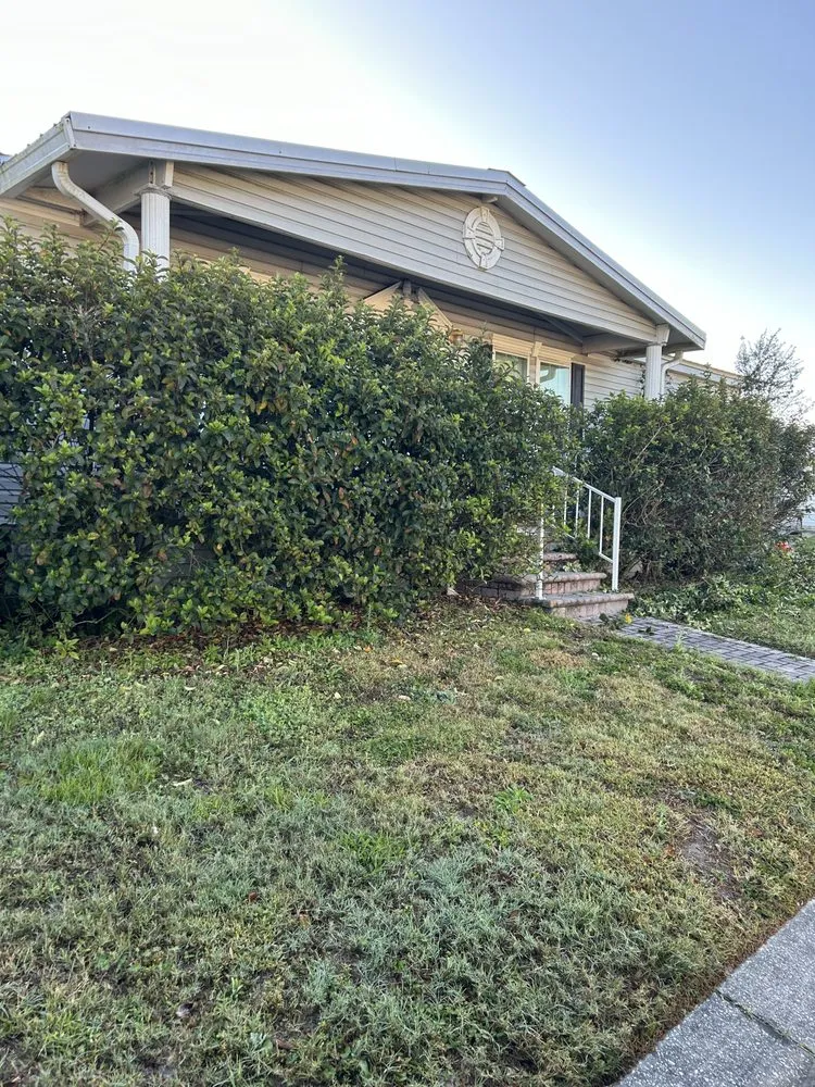 Top-rated landscaping services in Plant City, FL by Tomas Ibarra Lawn Service