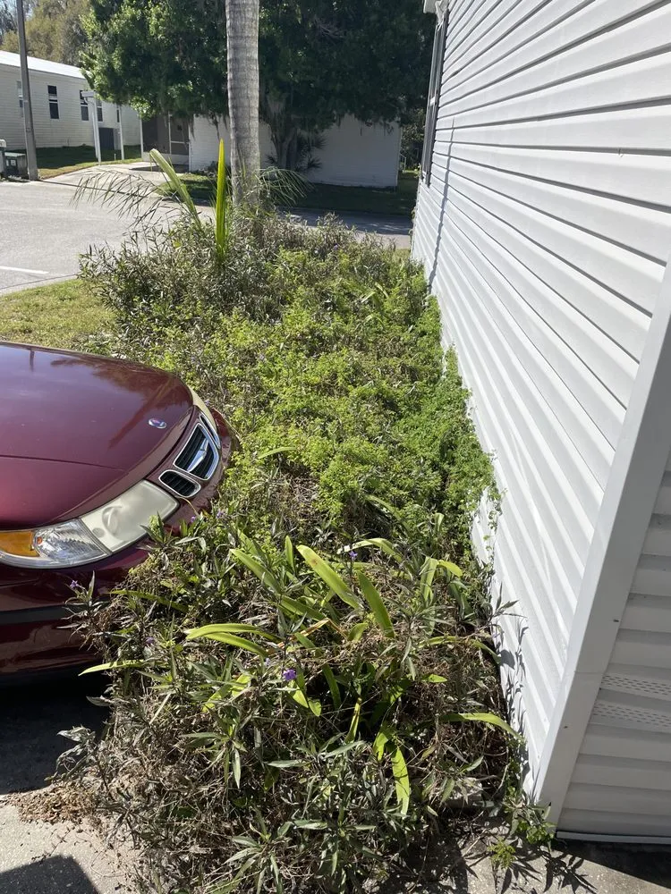 Trusted landscape design in Plant City, FL - Tomas Ibarra Lawn Service