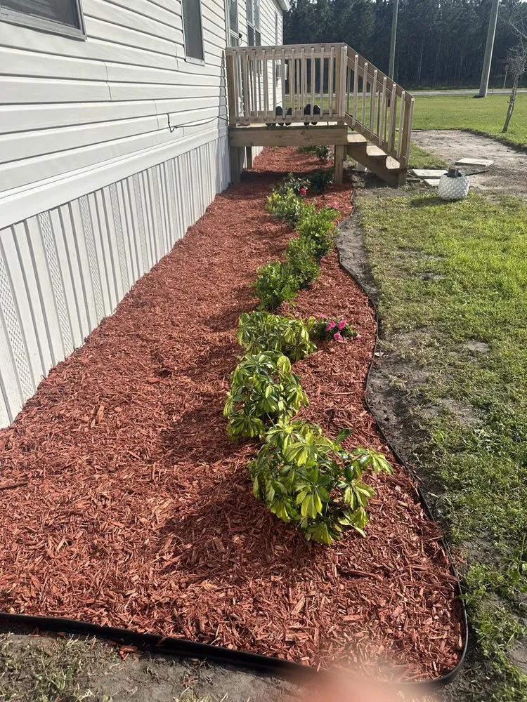 Professional yard maintenance for year-round maintenance across Plant City, FL - Tomas Ibarra Lawn Service
