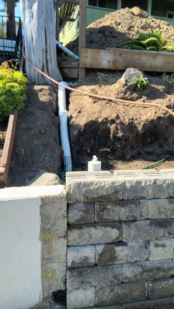 Top-rated lawn mowing service for beautiful yards across Stockton, CA - Tomas Jeronimo