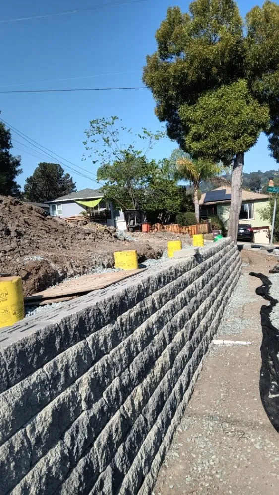 Affordable lawn mowing service for beautiful yards across Stockton, CA - Tomas Jeronimo