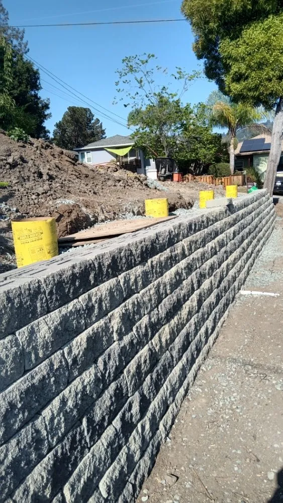 Trusted yard maintenance experts serving Stockton, CA - Tomas Jeronimo