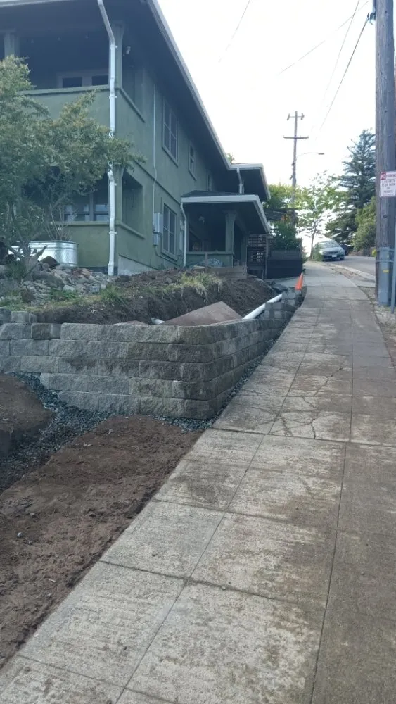 Expert yard cleanup service for homes in Stockton, CA by Tomas Jeronimo