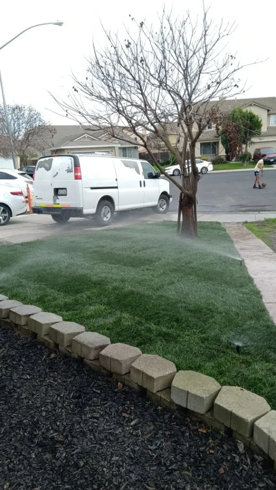 Professional landscaping services near you across Stockton, CA - Tomas Jeronimo