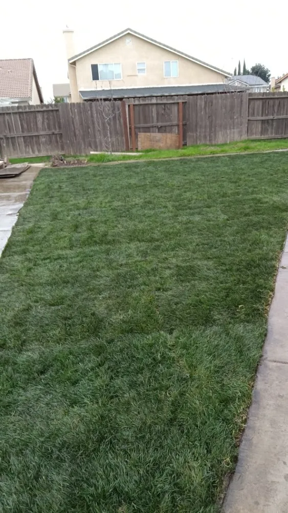 Top-rated outdoor landscaping in Stockton, CA by Tomas Jeronimo