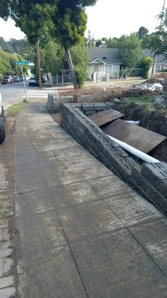 Custom lawn care service experts serving Stockton, CA - Tomas Jeronimo