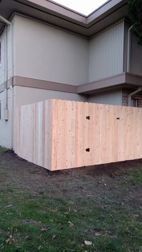 Affordable yard cleanup service near you in Stockton, CA by Tomas Jeronimo