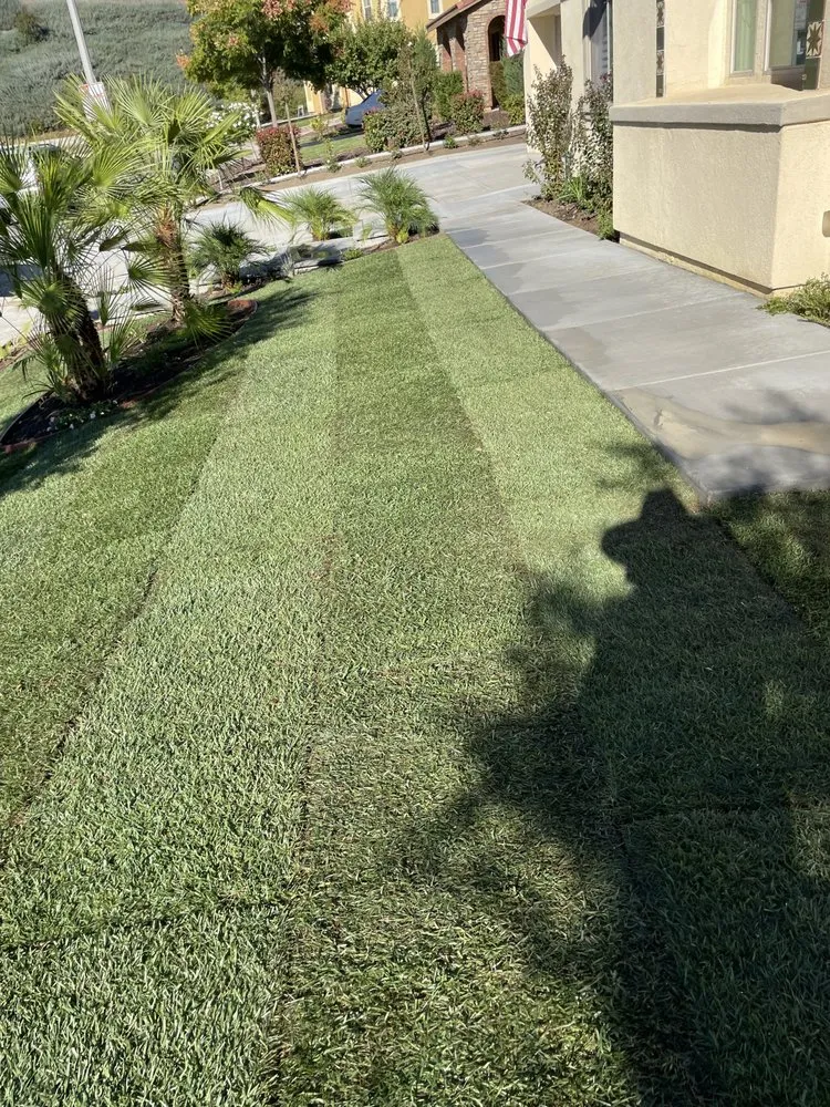 Top-rated lawn mowing service in Perris, CA - Tomas Landscape