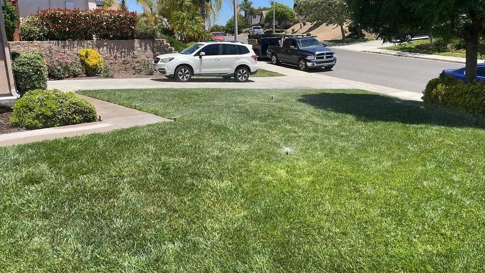 Expert yard cleanup service experts serving Perris, CA - Tomas Landscape