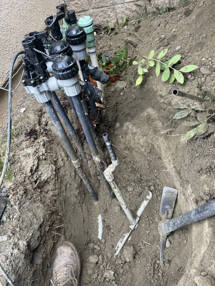 Expert yard cleanup service experts serving Perris, CA - Tomas Landscape