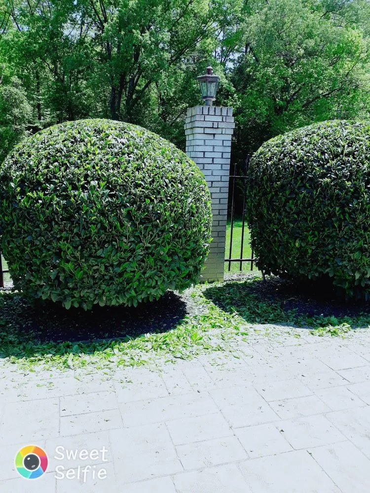 Affordable outdoor landscaping experts serving Knoxville, TN - Tomas Landscaping