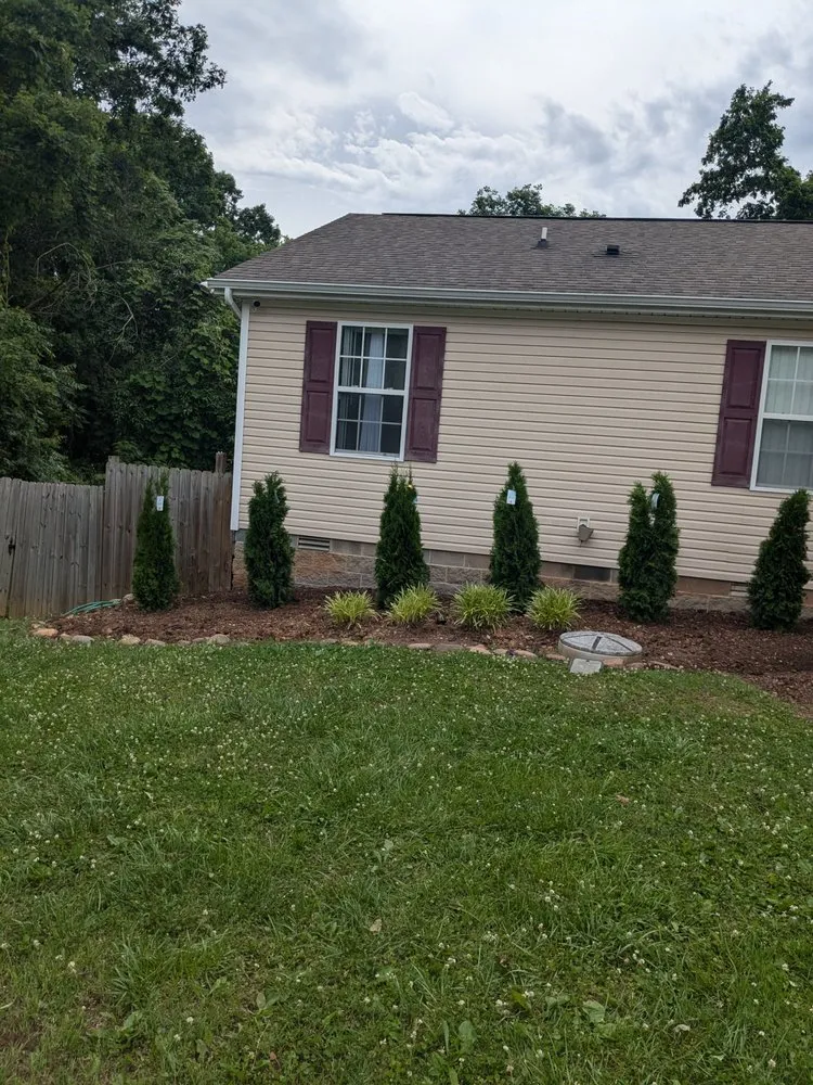Expert yard maintenance for year-round maintenance in Knoxville, TN by Tomas Landscaping
