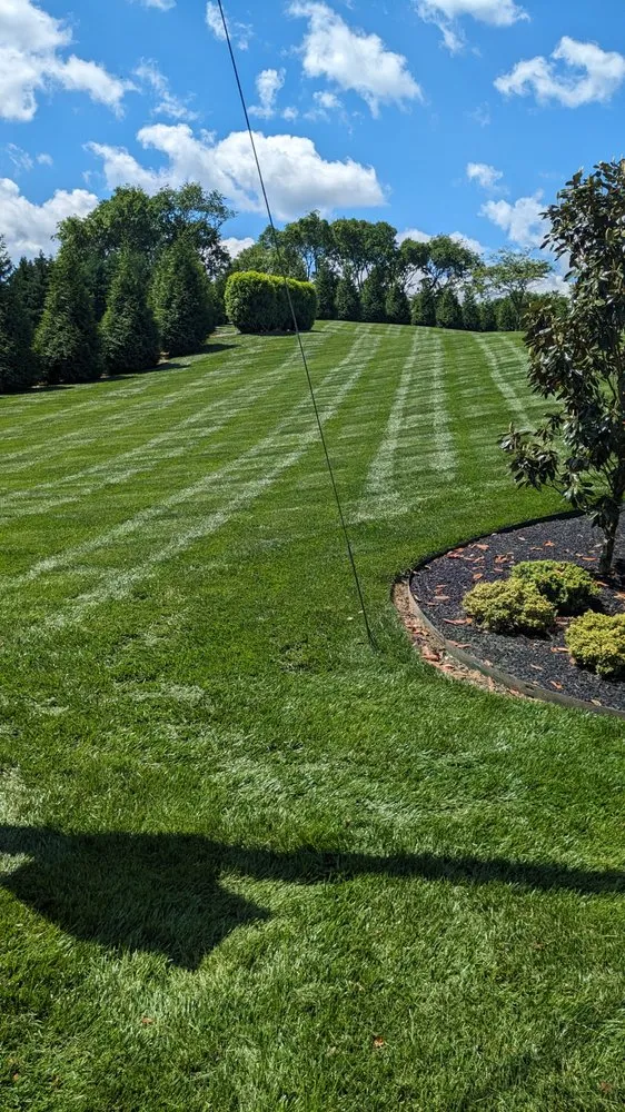 Trusted yard cleanup service for beautiful yards in Knoxville, TN by Tomas Landscaping
