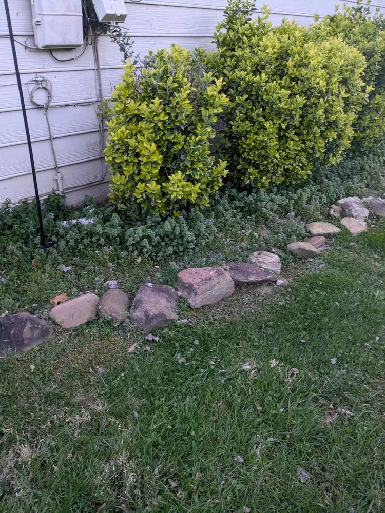 Affordable residential landscaping for beautiful yards across Knoxville, TN - Tomas Landscaping