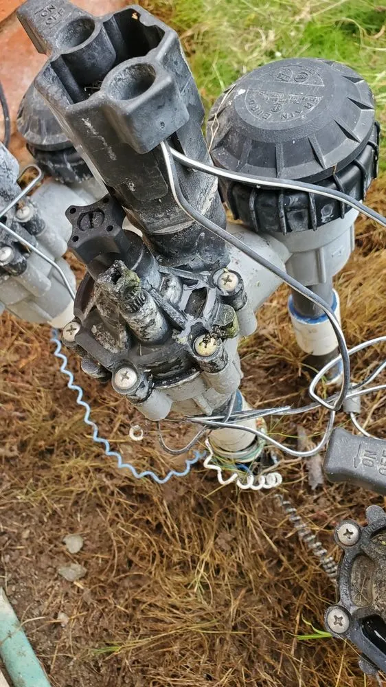 Expert yard cleanup service experts serving Spring Valley, CA - Tomas Landscaping