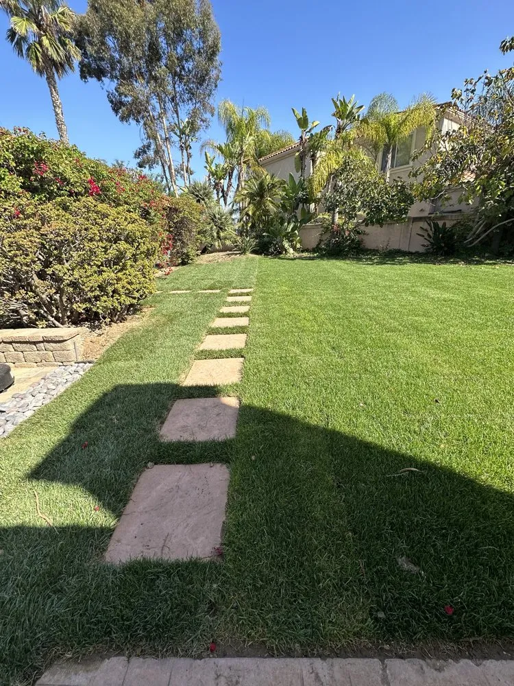 Reliable landscaping services in Spring Valley, CA by Tomas Landscaping