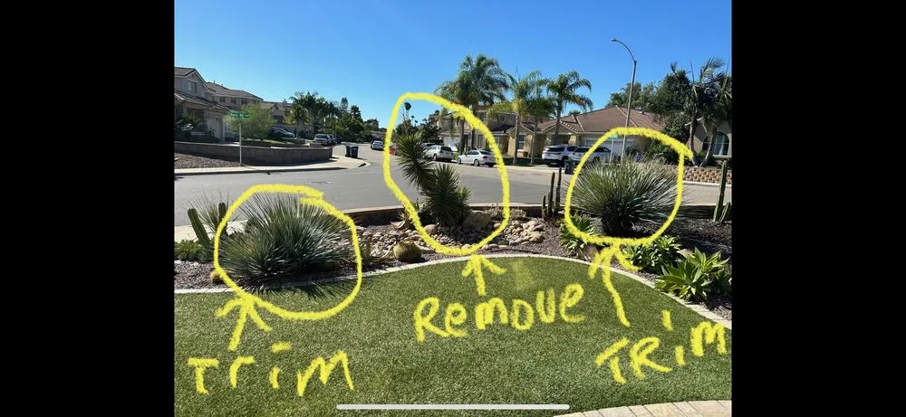 Custom residential landscaping in Spring Valley, CA by Tomas Landscaping