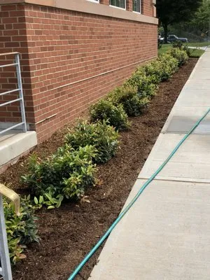 Tomas Landscaping Logo