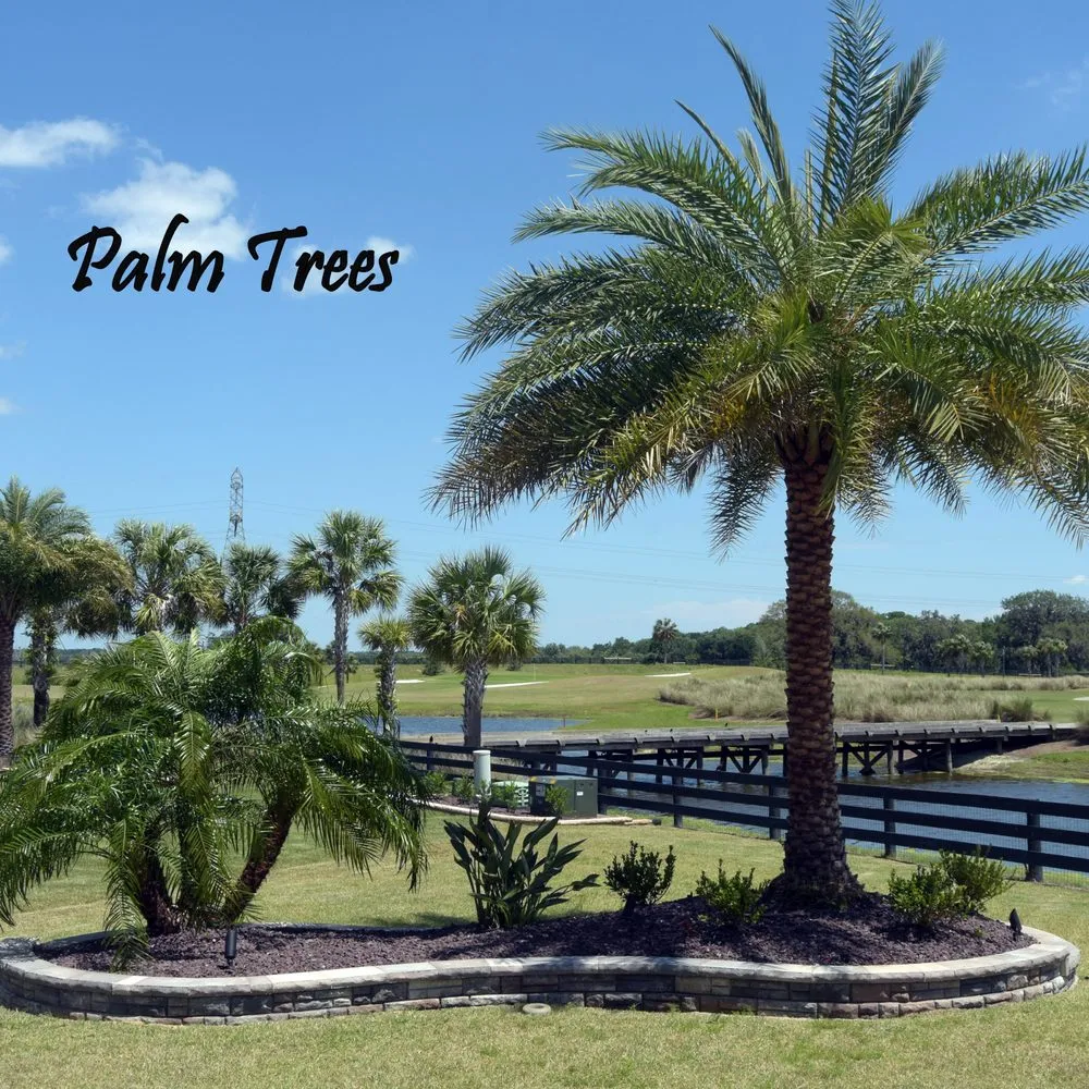 Local landscaping services experts serving The Villages, FL - Tomas Landscaping