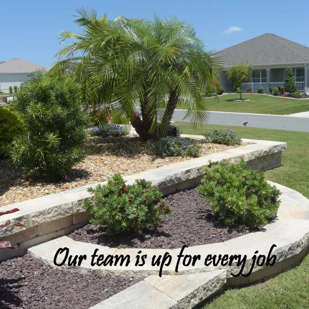 Custom yard cleanup service in The Villages, FL by Tomas Landscaping
