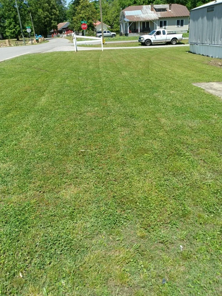 Affordable landscape design for homes across Tuscaloosa, AL - Tomas Matias