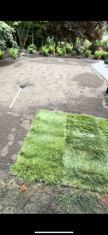 Reliable landscape design in Port Orchard, WA - Tomas Yard Maintenance