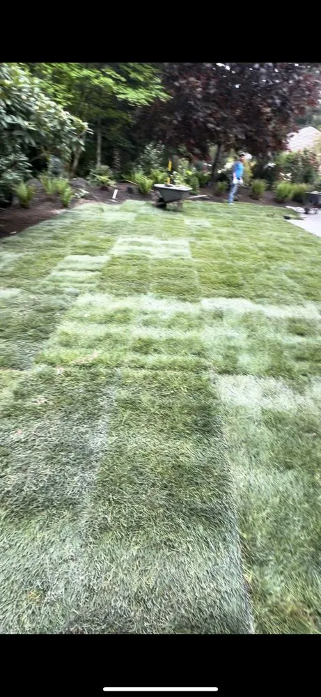 Affordable lawn mowing service near you in Port Orchard, WA by Tomas Yard Maintenance