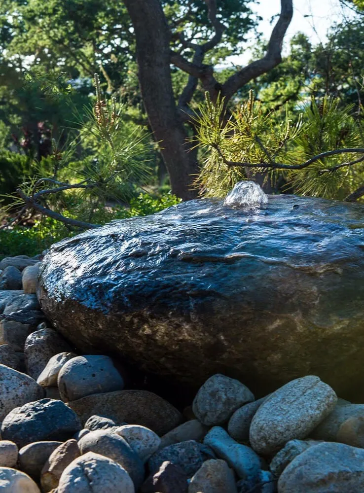 Expert yard maintenance experts serving Paso Robles, CA - Tomascapes